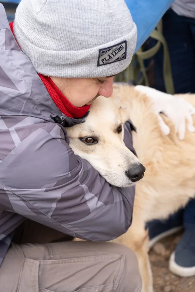 DSC09047 - Как мы подарили собачьему приюту 1,3 млн рублей, а собаки нам — бесконечную любовь - 5